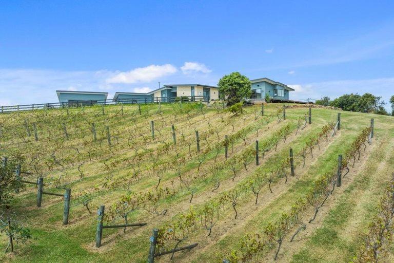 Vineyard Vacation Hotel Mangawhai Bagian luar foto